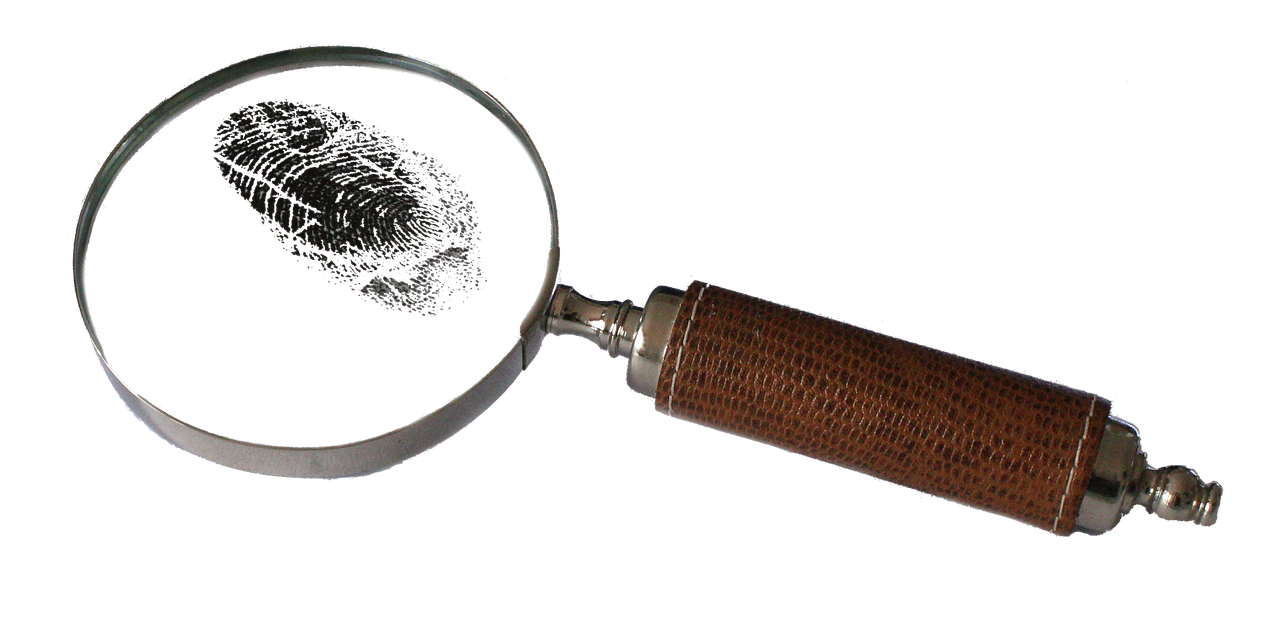 Beyond Reasonable Doubt – Proving the Elements of a Criminal Offence